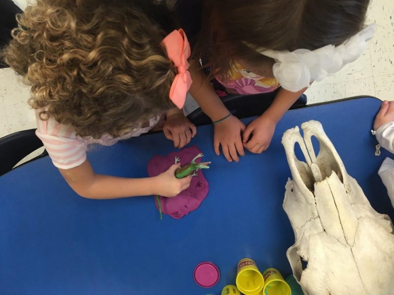 This photo shows two children, some PlayDoh containers, a large white skull, and a small plastic dinosaur with which one of the children is making prints in purple PlayDoh.