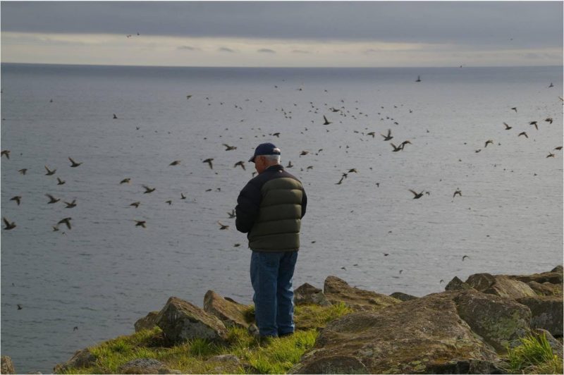 An older gentleman stands at the edge of a cliff wearing a dark coat and a black baseball cap. In front of him is a vast ocean with dozens of birds flying above.