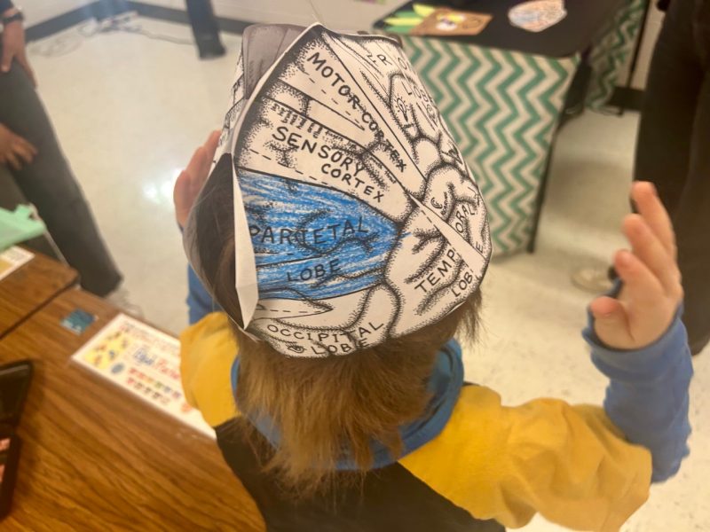A little boy shows off his colored "brain hat" with his arms and hands in the air emphasizing his artwork.