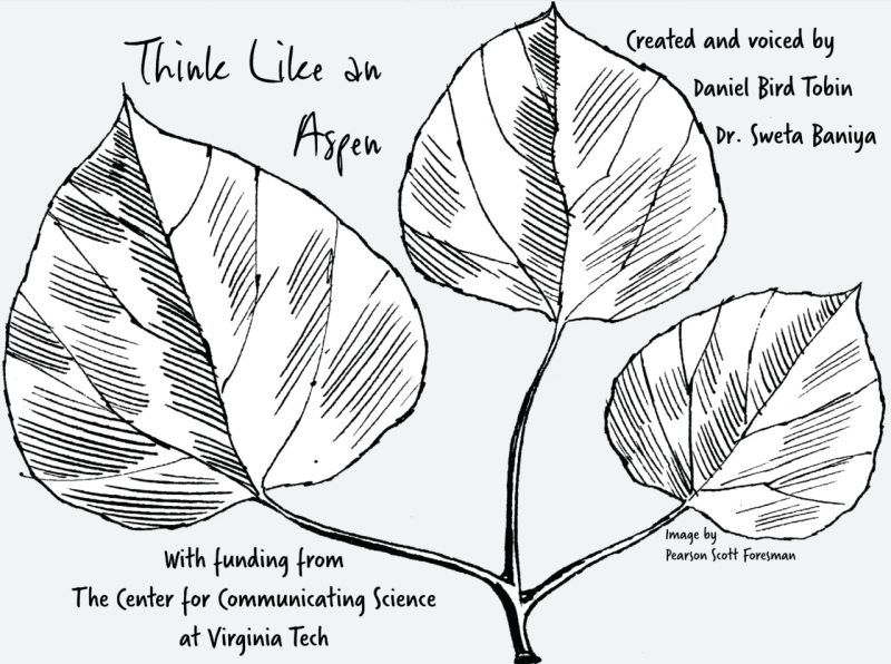 YouTube thumbnail depicts three leaves with “Think Like an Aspen.” In the bottom left hand corner there is writing that says “with funding from the Center for Communicating Science at Virginia Tech.”