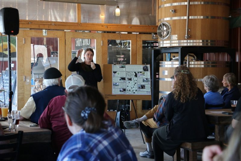 Holcombe speaks to a seated audience about bears. There is a poster on her left with screenshots from bear videos taken from the "FitBits".