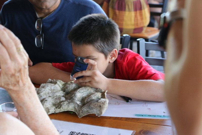 This photo shows a child studying stromatolite with a hand magnifier. 