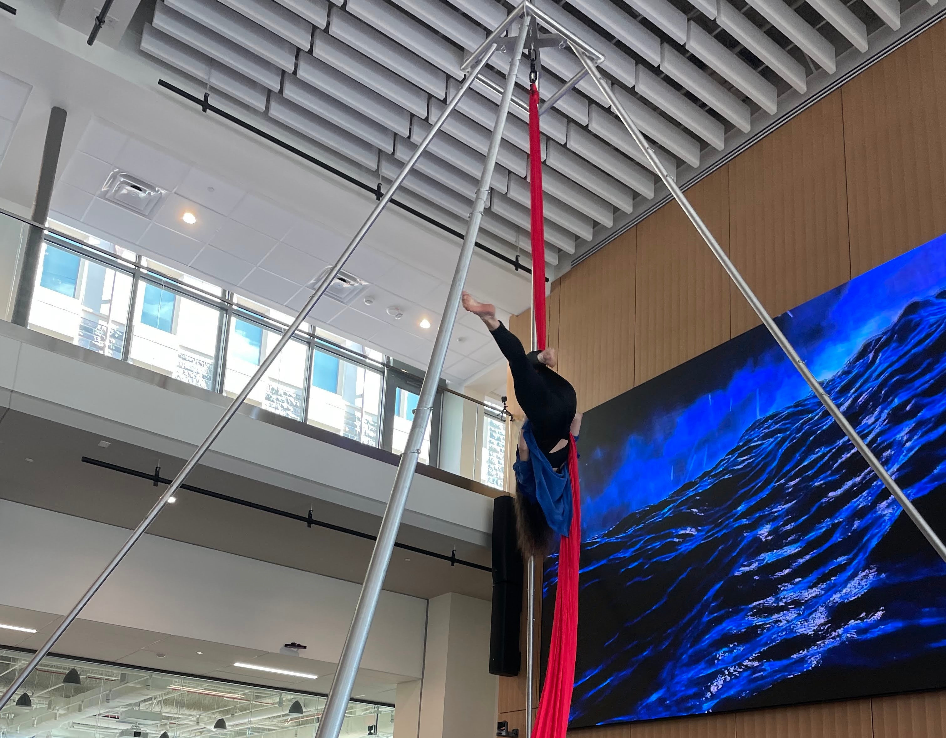 A young woman in blue and black performs aerial acrobatics on red silks with a blue background.