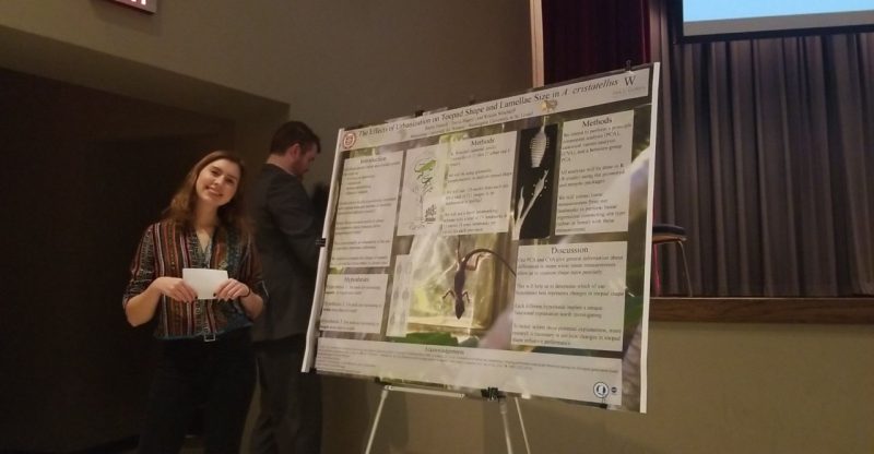 This photo shows a young white woman with dark hair standing next to a research poster on an easel. On the poster can be seen a lizard. In the background is the back/side profile of a white male with dark hair and beard.