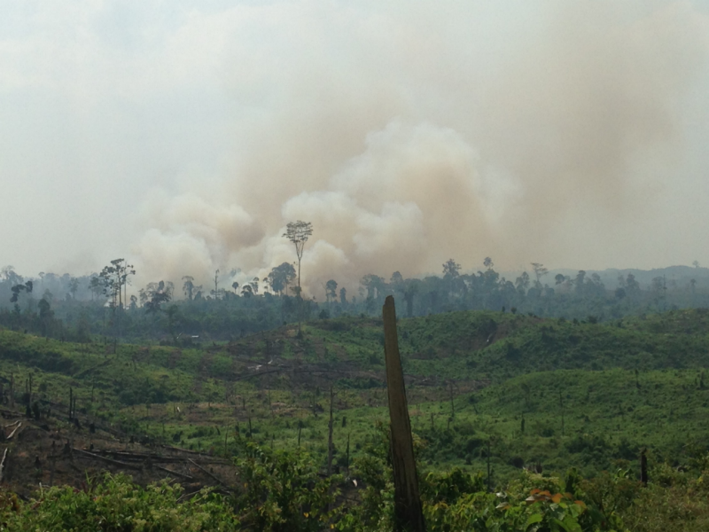 Deforestation through burning, Indonesia