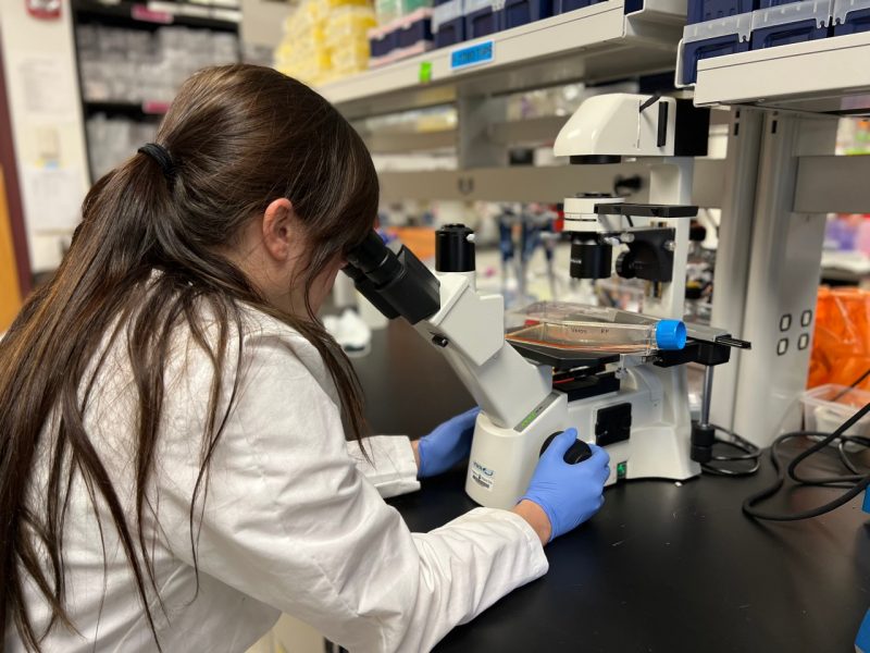 This photo shows a white person with long dark hair in a ponytail wearing a white lab coat and blue medical gloves and peering into microscope eyepieces at a lab bench.