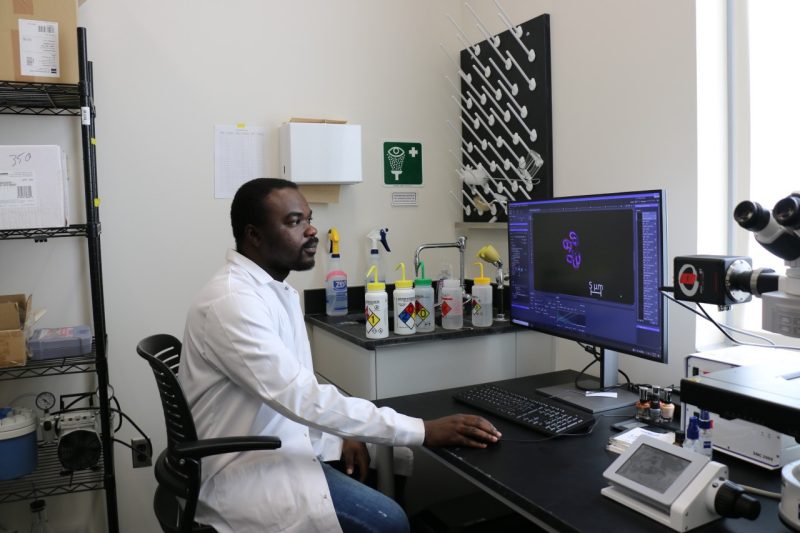 Martin is pictured in the laboratory, examining images on a computer.