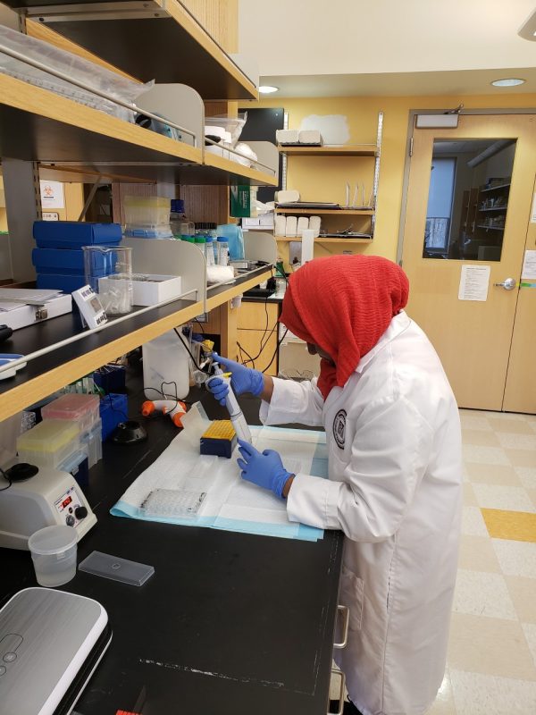 Thsis photo shows the profile of a person wearing a red head scarf, white lab coat, and blue lab gloves. She is holding a pipette and standing at a lab bench.