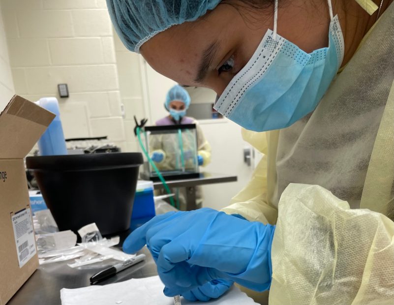 Image shows the narrator of the research study performing in vivo experiments in the laboratory.