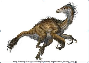 This image shows a feathered dinosaur, running on its hind legs with its front legs curled up in front of it and looking back over its shoulder.