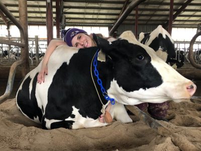 This photo shows a Holstein (black and white) cow with a blue chain around her neck. She is lying down in sand in a barn and a young light-skinned woman is sitting beside her with one arm draped over the cow's back and the other wrapped around her neck.