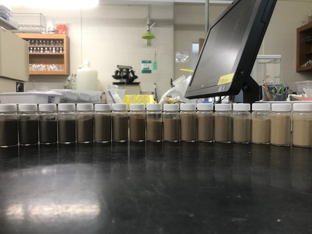 This photo shows a line of small jars with white caps. Each jar has a soil sample slurry in it and the colors lighten from left to right, from a dark brown/black to a pale beige. In the background is a computer screen, a cabinet containing glassware, and other parts of a laboratory.