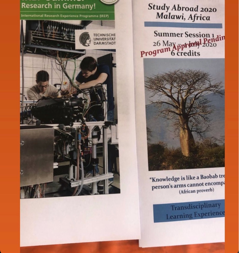 This photo shows two study abroad brochures. The one for Germany shows two white males in a laboratory filled with complex equipment. The one for Malawi shows a baobab tree. 