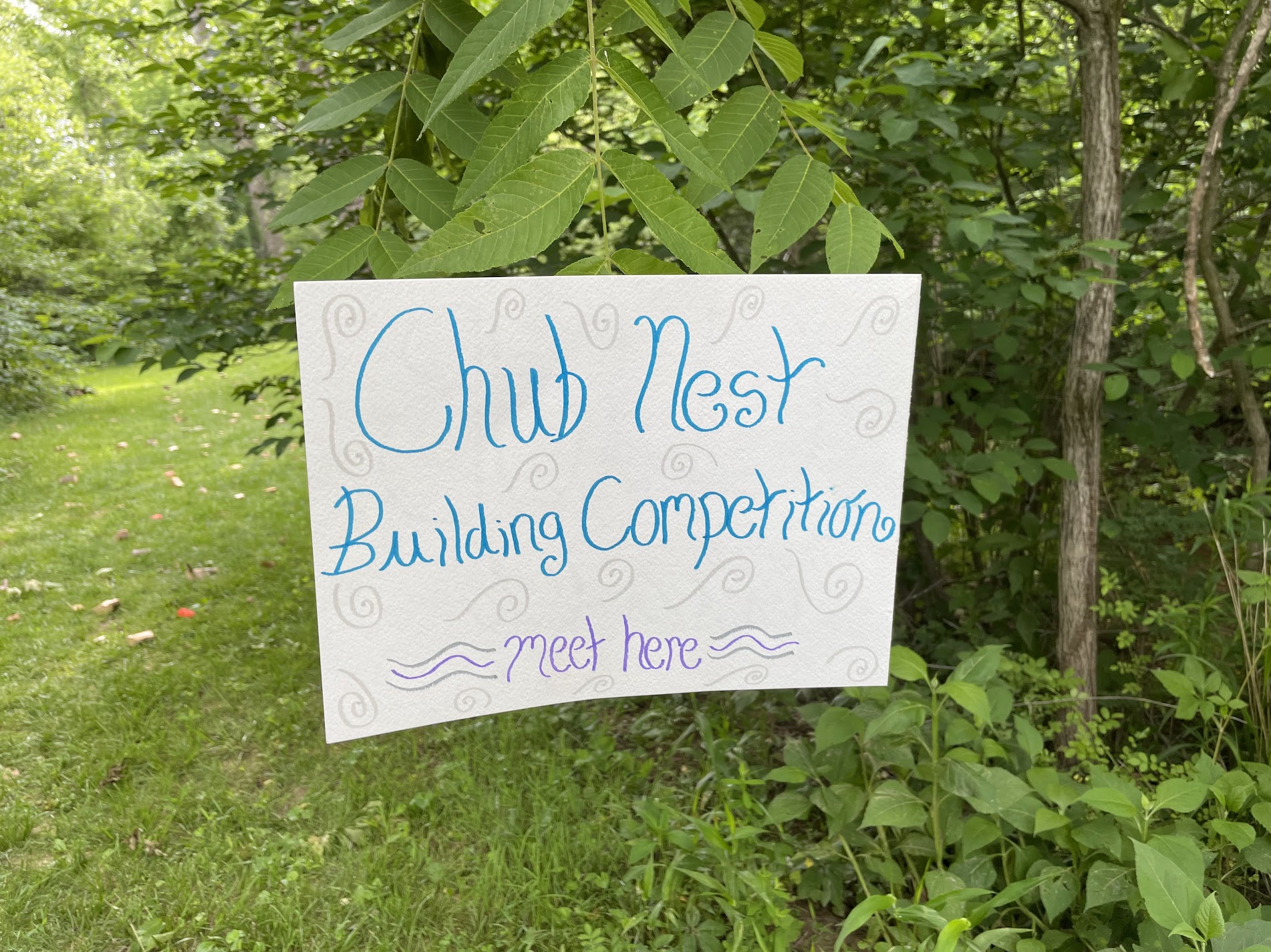 A handwritten sign reads “Chub Nest Building Competition Meet Here” in blue and purple writing. Surrounding the sign are trees, leaves, and green grass. 