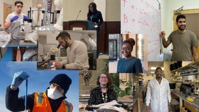 A collage of people doing research for research stories.