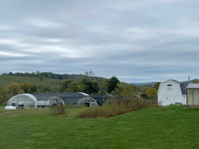 This photo is an outdoor scene showing three hoop houses and a small barn against a backdrop of rolling hills and, in the far distance, mountains.