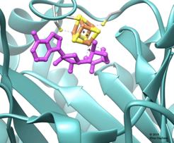 This image shows a purple molecule with two hexagons and multiple side chains, a yellow and brown box, and blue wavy strips that look like kelp.