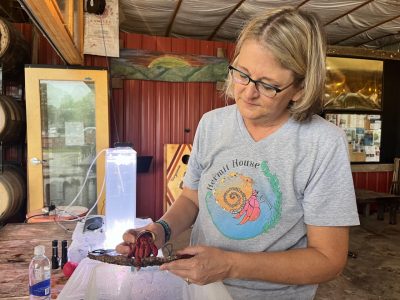 Mary Akers holds a strawberry hermit crab on a piece of wood. Akers has short, blond hair and wears glasses and a t-shirt.